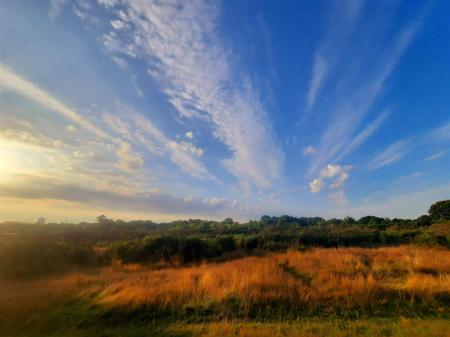 Woodland & Surrounding Areas