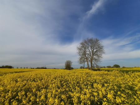 Woodland & Surrounding Areas
