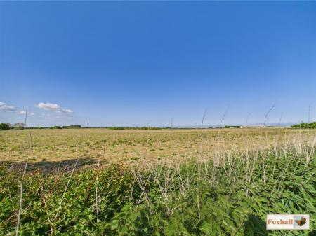 Woodland & Surrounding Areas