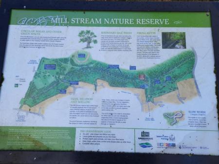 Surrounding Areas