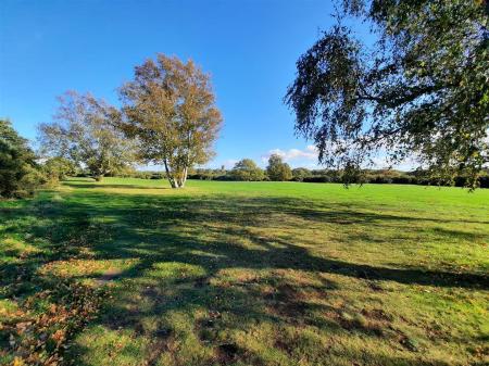 Surrounding Area