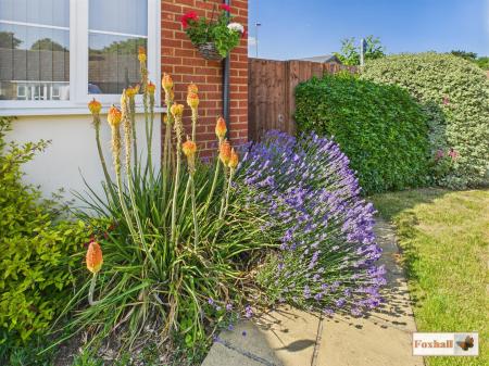 Front Garden