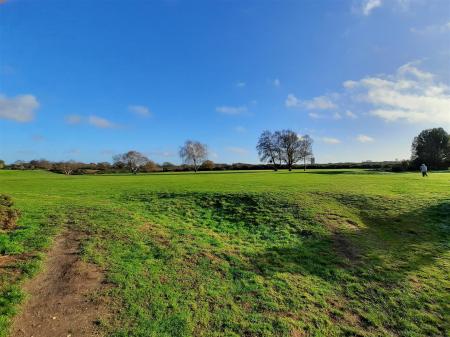 Scenes of Rushmere Heath