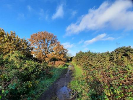 Scenes of Rushmere Heath