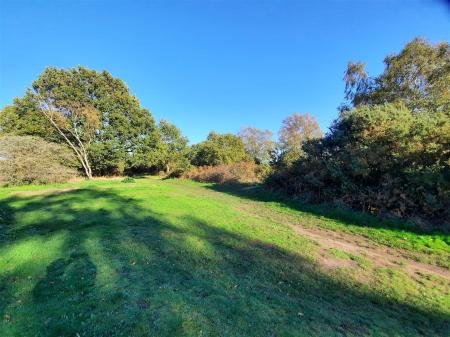 Scenes of Rushmere Heath
