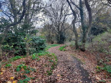 Scenes of Rushmere Heath