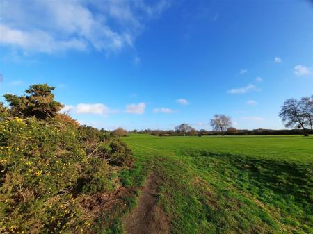 Scenes of Rushmere Heath