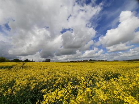 Wickham Market & Surrounding Areas