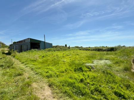 image1