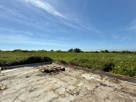 image15