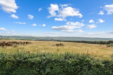 image25