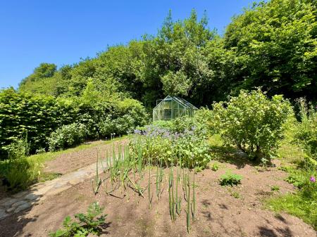 image24