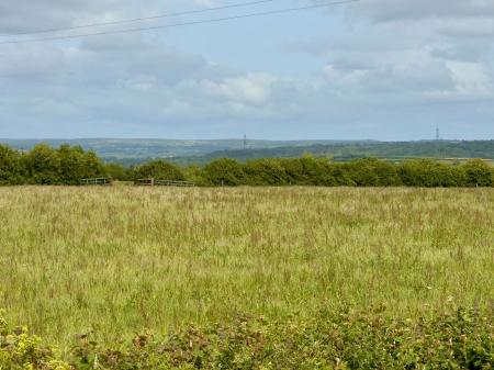 image12