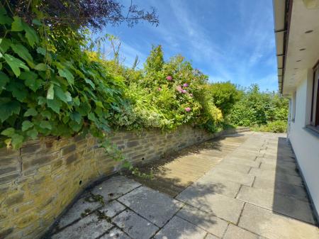 image11