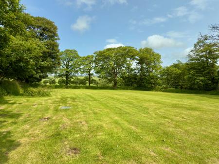 image15