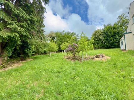 image11