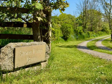 image25