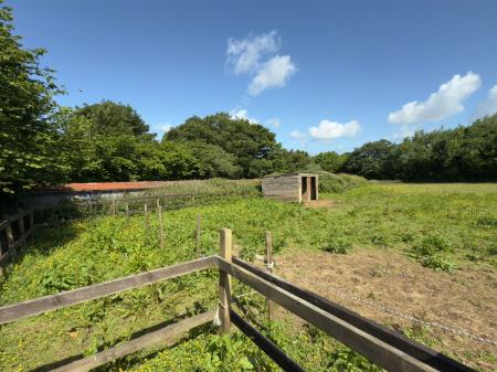 image5