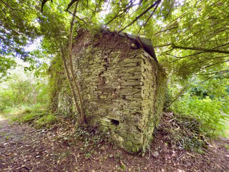 image24