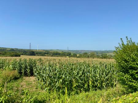 image12
