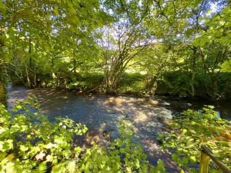 image10