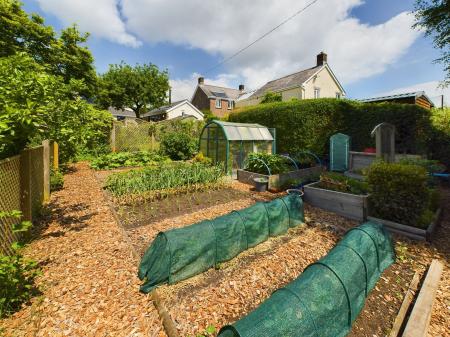 Vegetable Garden