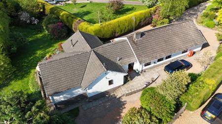 01873 564424