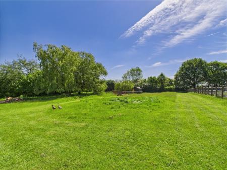 Grounds
