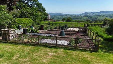 Veg garden