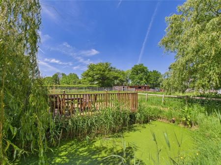 Wildlife pond