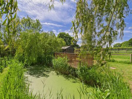 Wildlife pond
