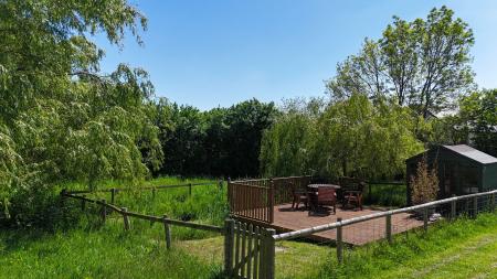 Wildlife pond