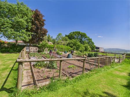Veg garden