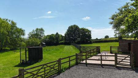 Yard and grounds
