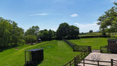 Yard and grounds