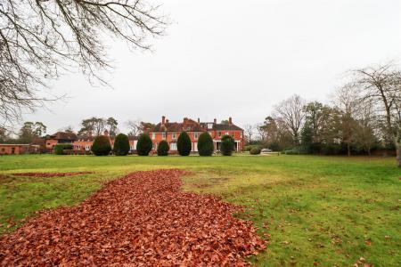 Communal Grounds & Rear Elevation