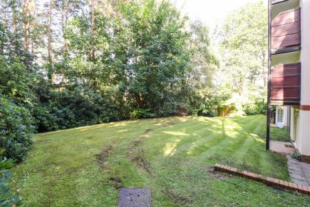 Communal Garden