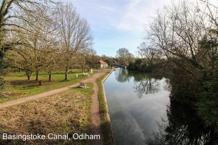 Basingstoke Canal, Odiham