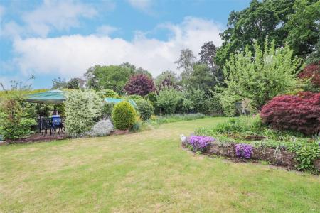 Garden 4