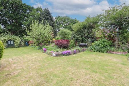 Garden 6
