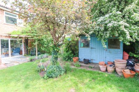 Garden 3