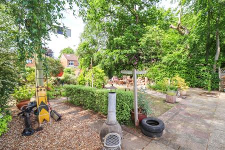 Garden 4