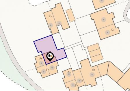 Site