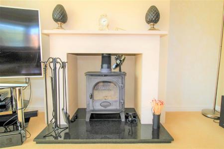 Lounge Wood Burning Stove