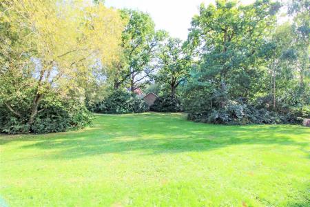 Adjacent Green