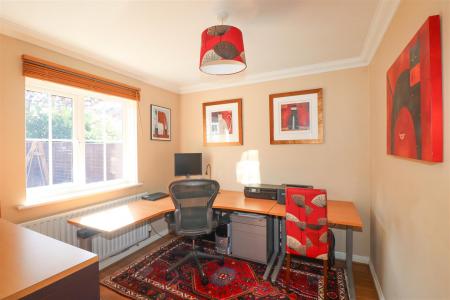Family Room/Study