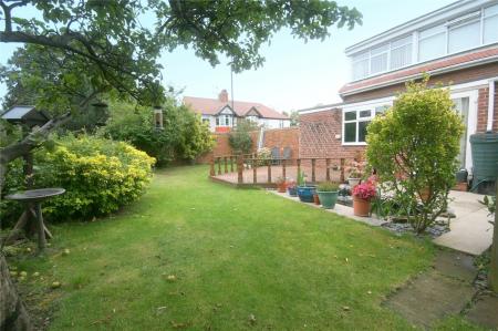 Rear Garden (2)