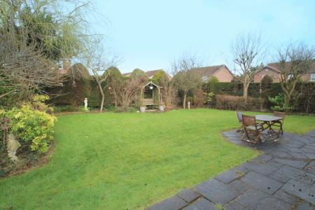 Rear Garden (2)
