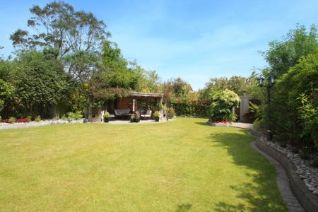 Rear Garden 5