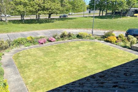 Front Garden 2